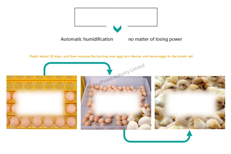 56/98/196/294 яиц бытовой инкубатор полностью автоматическая инкубаторы инкубатор с ультразвуковым увлажнением 220V 12V