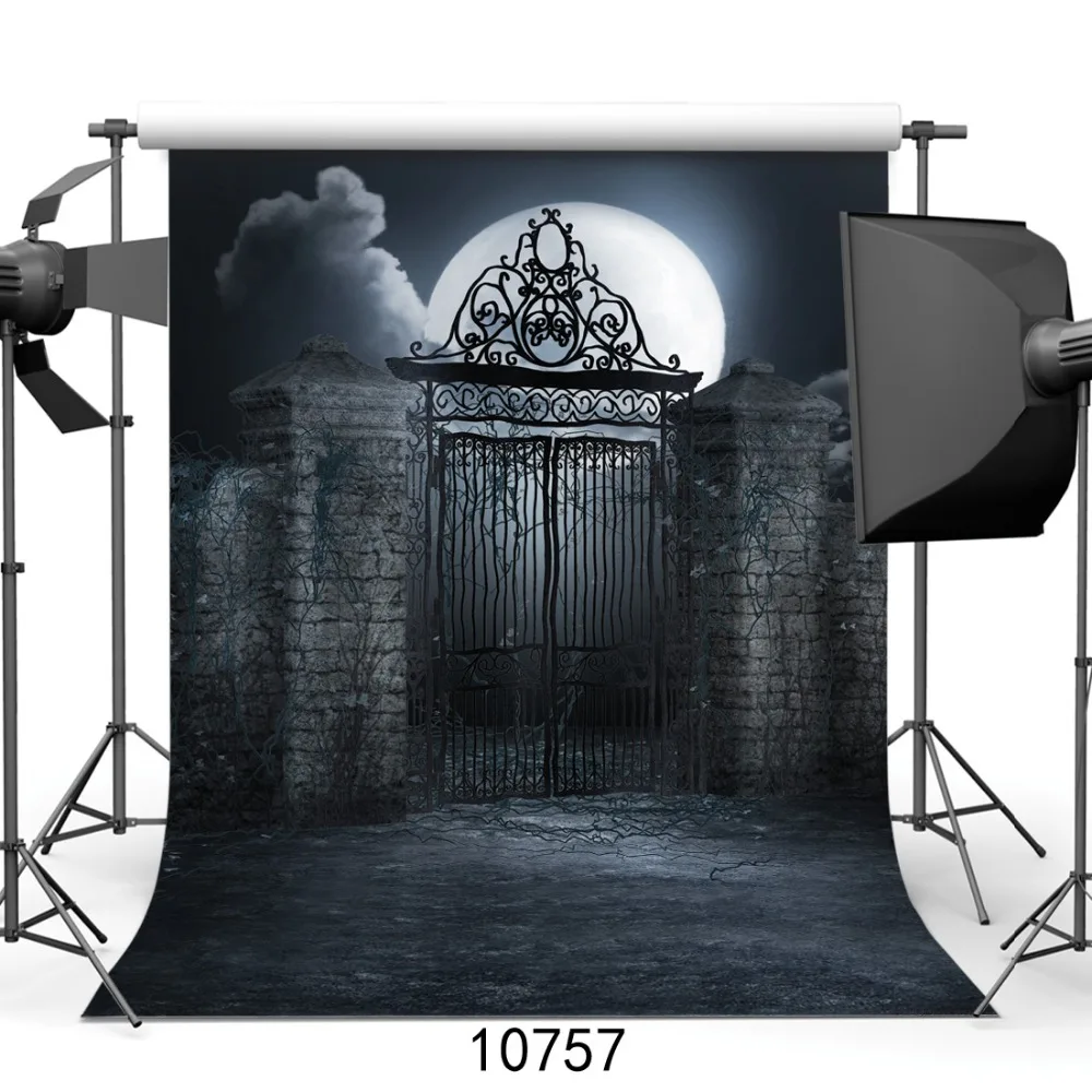 Sjoloon день всех святых фотографии фоном Hallowmas фотографии фонов для фото фон Studio Thin Viny опора