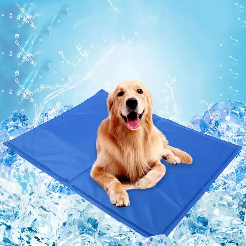 cool gel beds for dogs