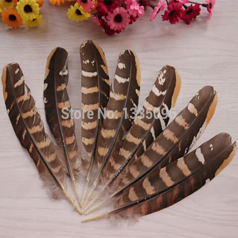 20pcs/lot NATURAL CHUKAR PARTRIDGE Hen Feather 15 20CM length
