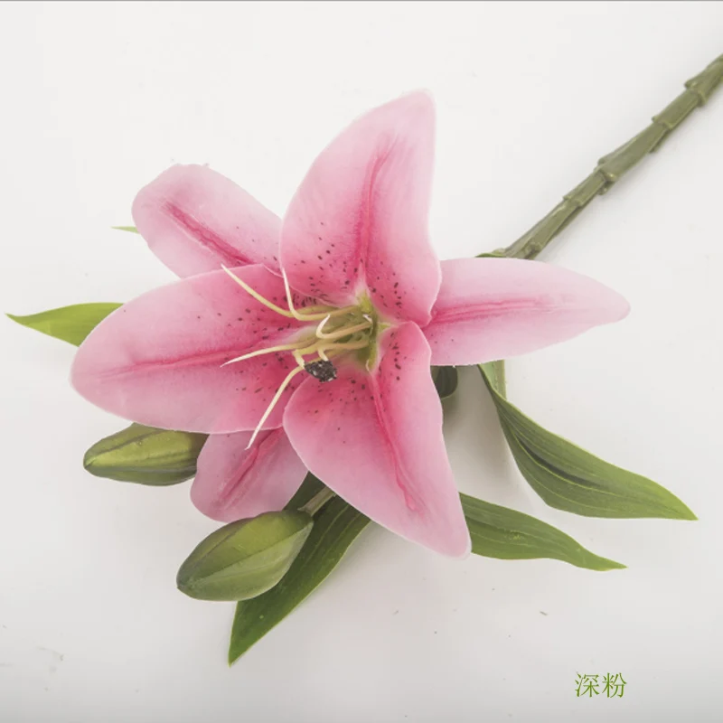 深粉
