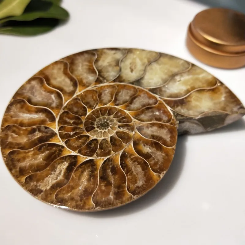 conew_img20190317164620