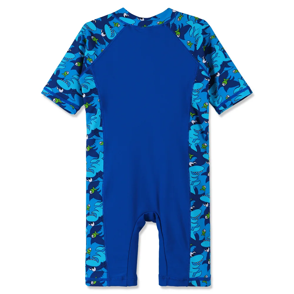 S245_Navy_2