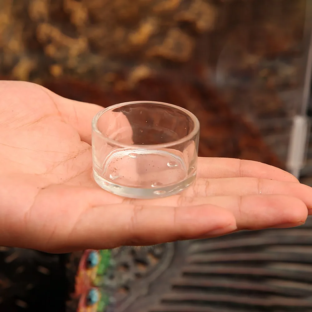 Прочная водная миска для кормления лоток секционный поднос для геккон ящерица змеи рептилий черепахи различные формы