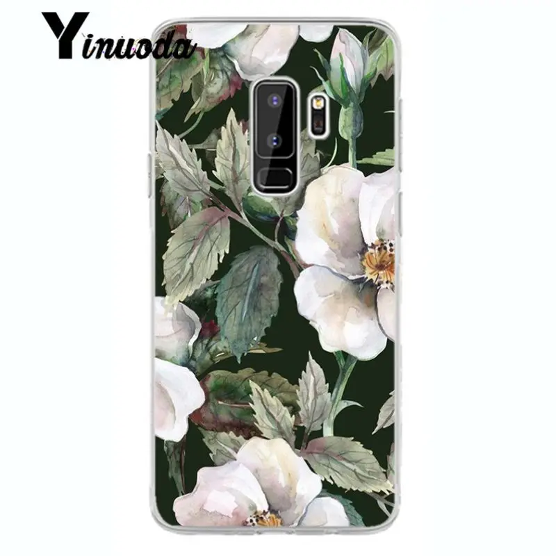 Flower Cherry Tree Candy Colors Leaves 