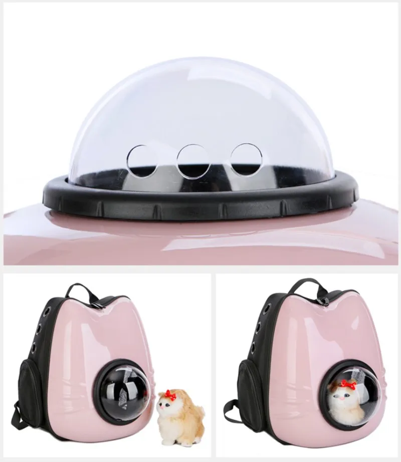 cute Cat carrier (7)