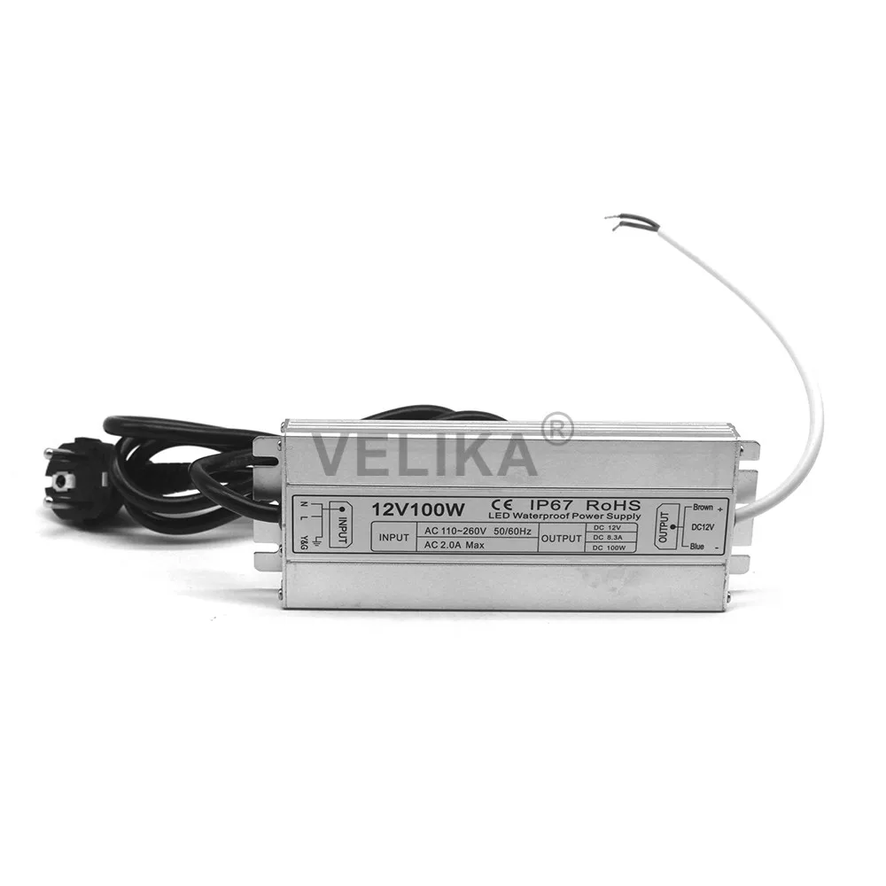 12V100W-1