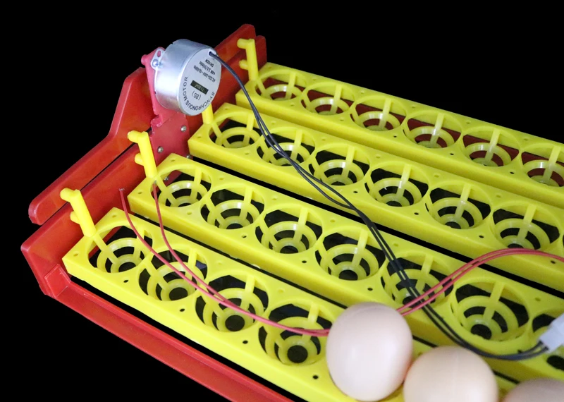 36 Eggs Incubator Automatic Incubator Automatically Turn Egg Tray Incubation Experiment Teaching Equipment 4 * 9 Holes