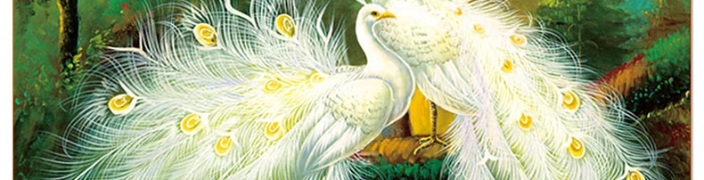 diy diamant painting beautiful white peacock room decal 5d diamond embroidery crystal needlework full cross stitch diamond kit1087_05