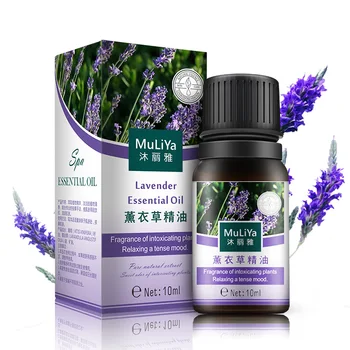 

Hot Sale Pure Plant Essential Oil Ginger Body Massage Oil 30ml Thermal Body Ginger Essential Oil For Scrape Therapy SPA