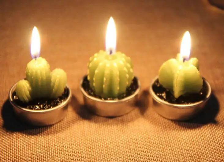 

Cute little fresh creative simulation potted cactus green mini candles (six each box)