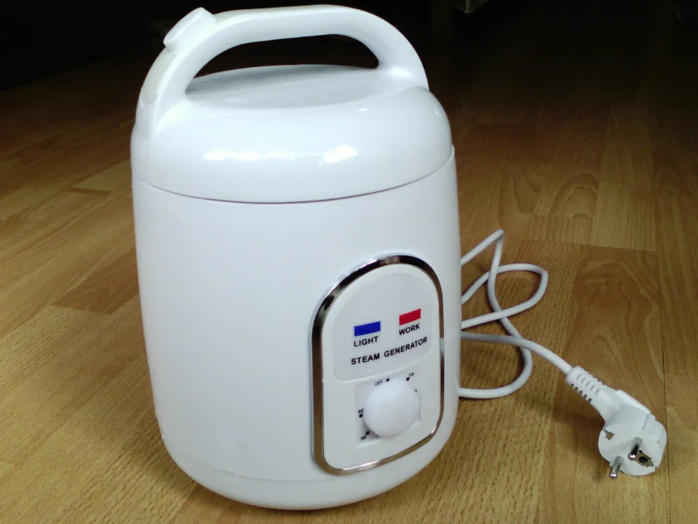 Cost efficient steam generator,overall health conditioning steamer