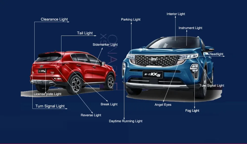 QQ截图20190603162033副本副本23