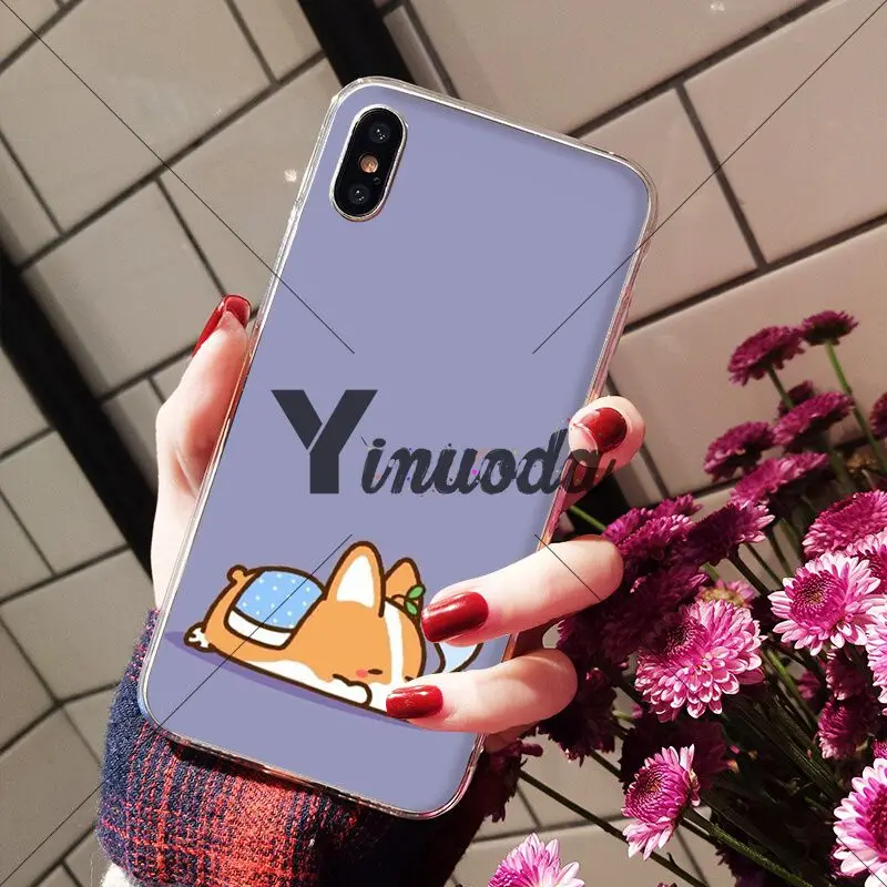 Animal cute Welsh Corgi sexy ass