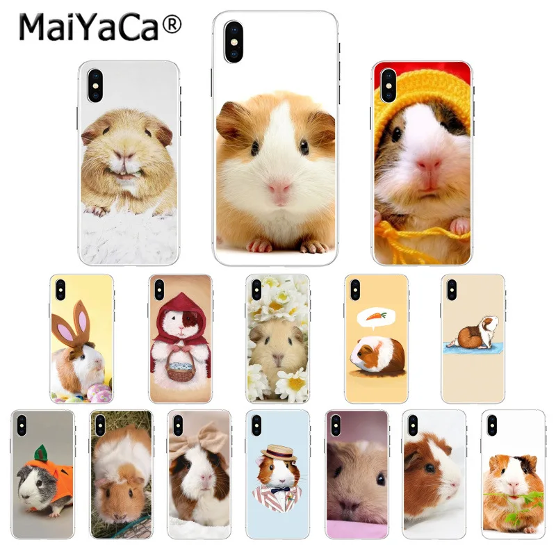 guinea pig phone case iphone 8 guinea pig phone case iphone 8
