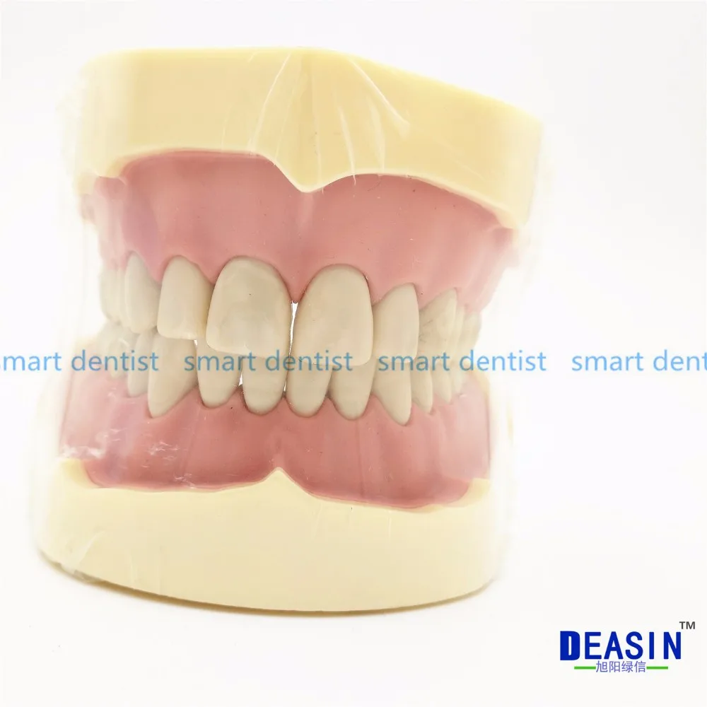 Хорошее качество зубные мягкие десны Зубы Модель съемные 28 шт. зубы NISSIN 200 KAVO модель головы Совместимость стоматолога обучение обучения