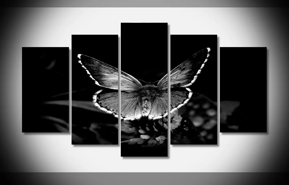 

8382 Butterfly Insects Black And White Animal poster Framed Gallery wrap art print home wall decor wall picture Already to hung