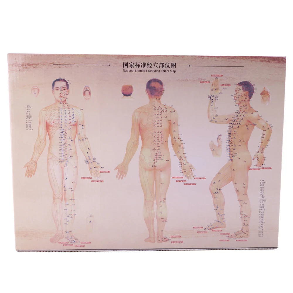 Massager 28 Pcs Massage Cans Cups Chinese Vacuum Cupping Kit Pull Out A Vacuum Apparatus Therapy Relax Massagers Curve Suction Pumps Massage cupping (7)
