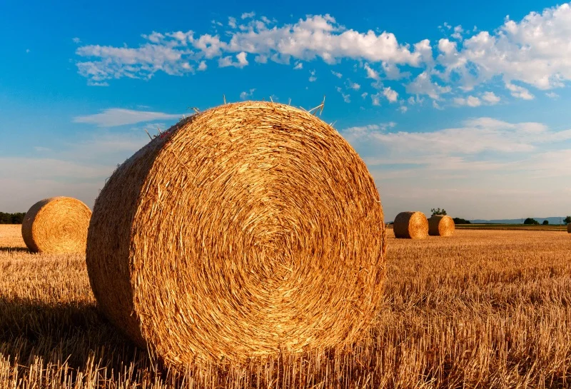 

Laeacco Rural Harvest Field Hay Bale Blue Sky White Clouds Scene Photographic Backgrounds Photography Backdrop For Photo Studio
