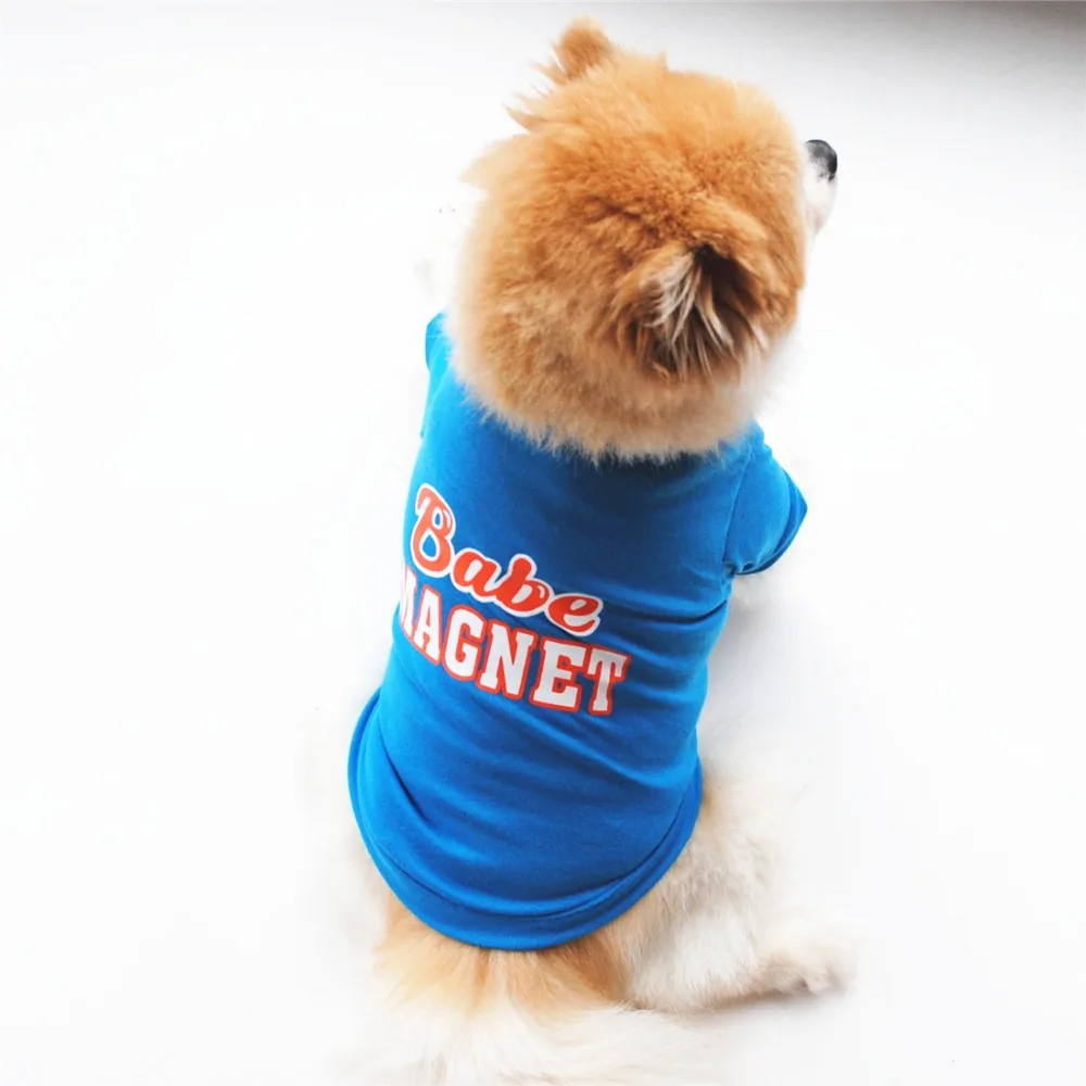 9097816327_361259826