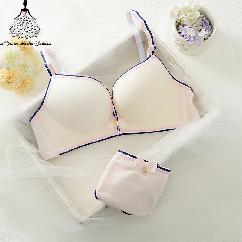 Lingerie Set Sexy Push Up Women Bra Set Lingerie Seamless Breathable Hot Sexy Women Lingerie Bra Panty And Underwear Set
