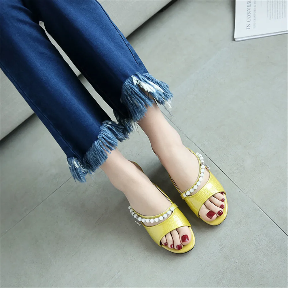 IMA_6352