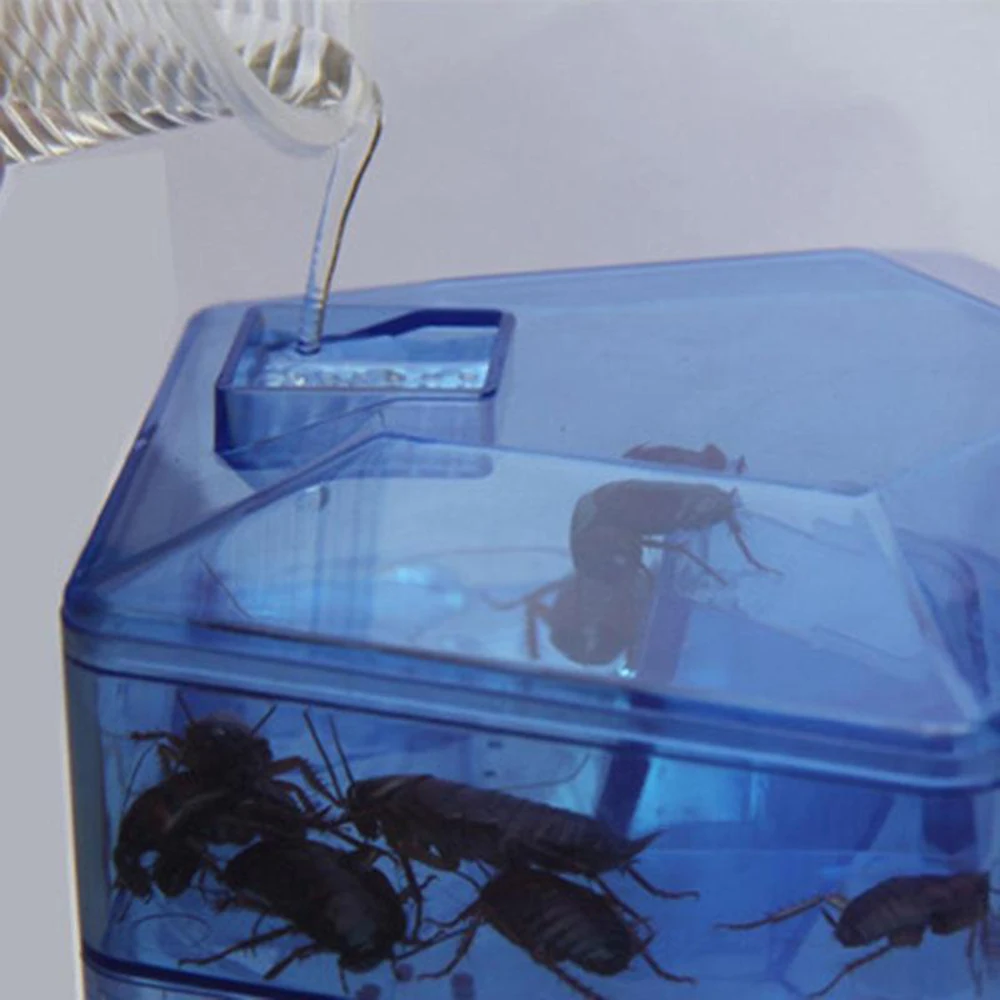 Effective Killing Cockroach Bait Powder Box Cockroach Lures Repeller Insect Roach Killer Anti Pest Reject Trap Pest Control Cage