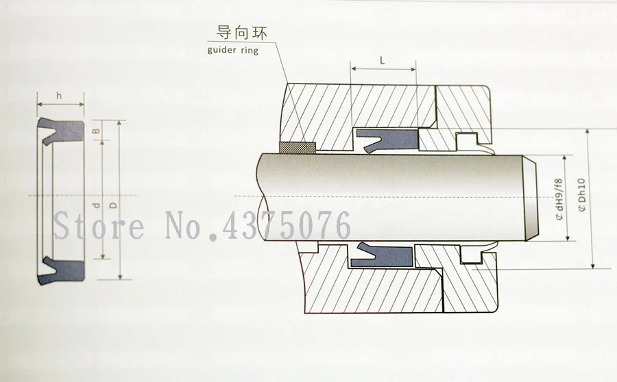 截面