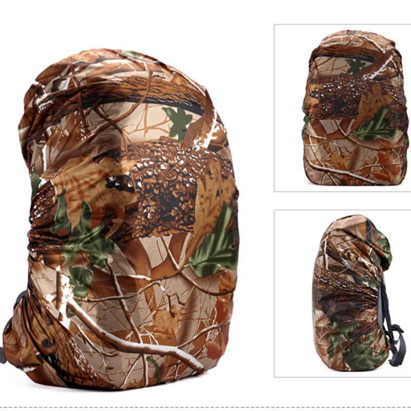 3167579651_273672155_