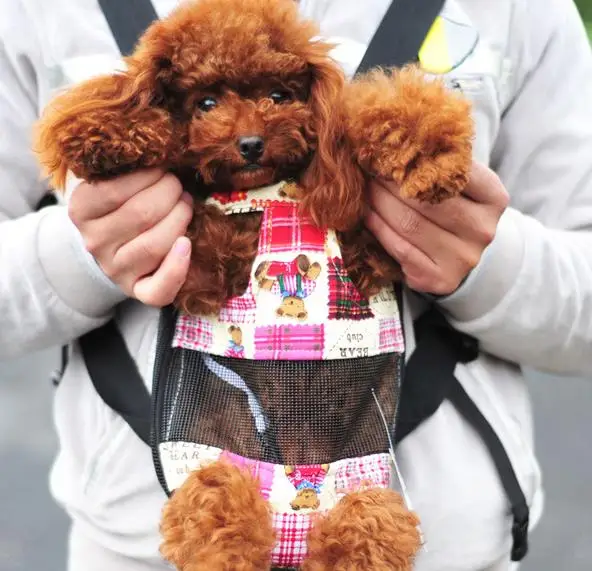 Pet Backpack Soft Canvas Chest Pack Pet Dog Carrier Bag Multifunction Dog Front Backpack Portable Knapsack Legs Out Front Style small-dog-front-carrier : image Pet Backpack Soft Canvas Chest Pack Pet Dog Carrier Bag Multifunction Dog Front Backpack Portable Knapsack Legs Out Front Style small-dog-front-carrier