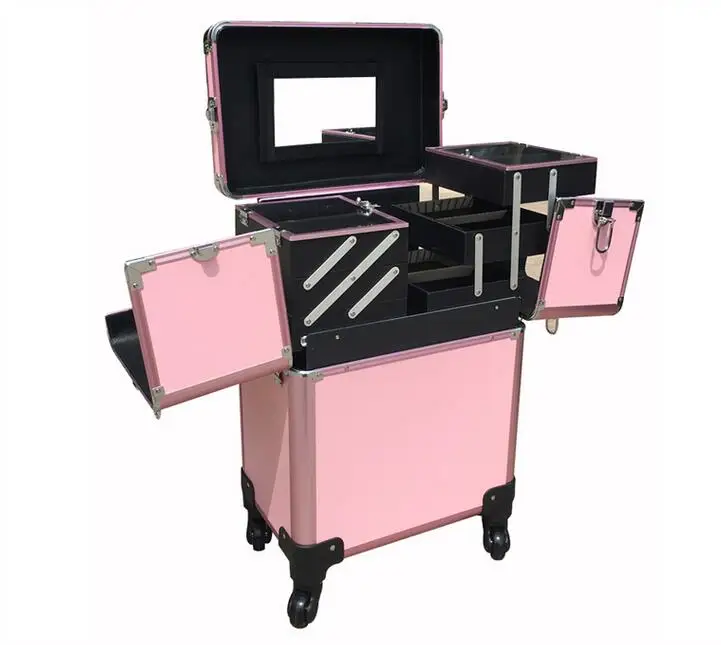 Case (1)