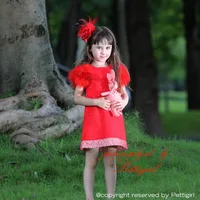 2016 Retail Girls Red  Straight Dresses With Short Sleeve Fashion Kids Girls Autumn Wear For Children Christmas Clothing