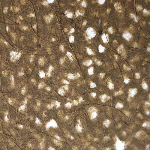B73065A