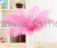 

Wholesale 10 pcs/ lot high quality Pink ostrich feathers 20-22inches /50-55cm DIY jewelry decoration / wedding celebration