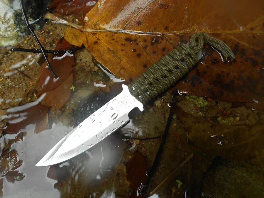 3464161388_1992986224