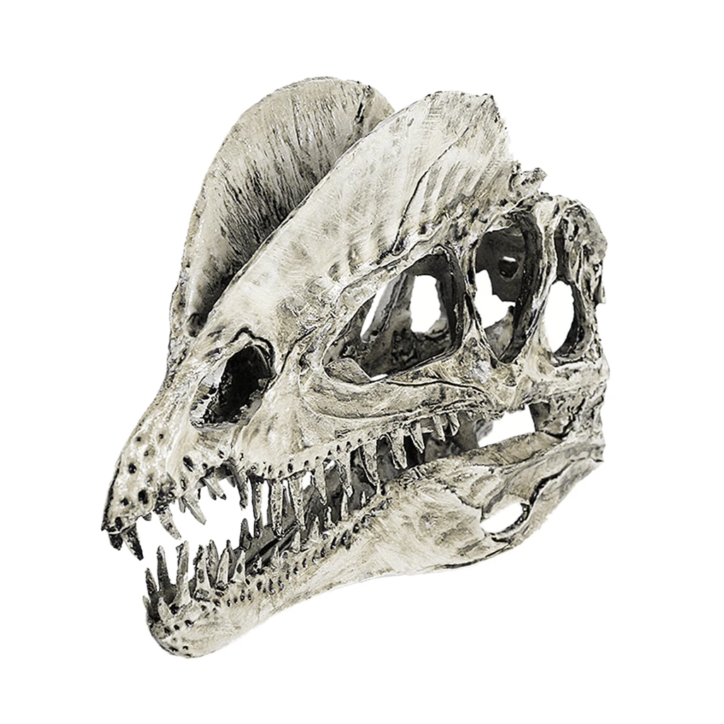 Dinosaur Skull Replica Skeleton Model Aquarium Ornament Antique Yellow for decor teaching & Collectible High Quality