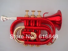 The wholesale manufacturers– The inventory With Bb pocket trumpet the Temple of King Wen. Big red, golden brown