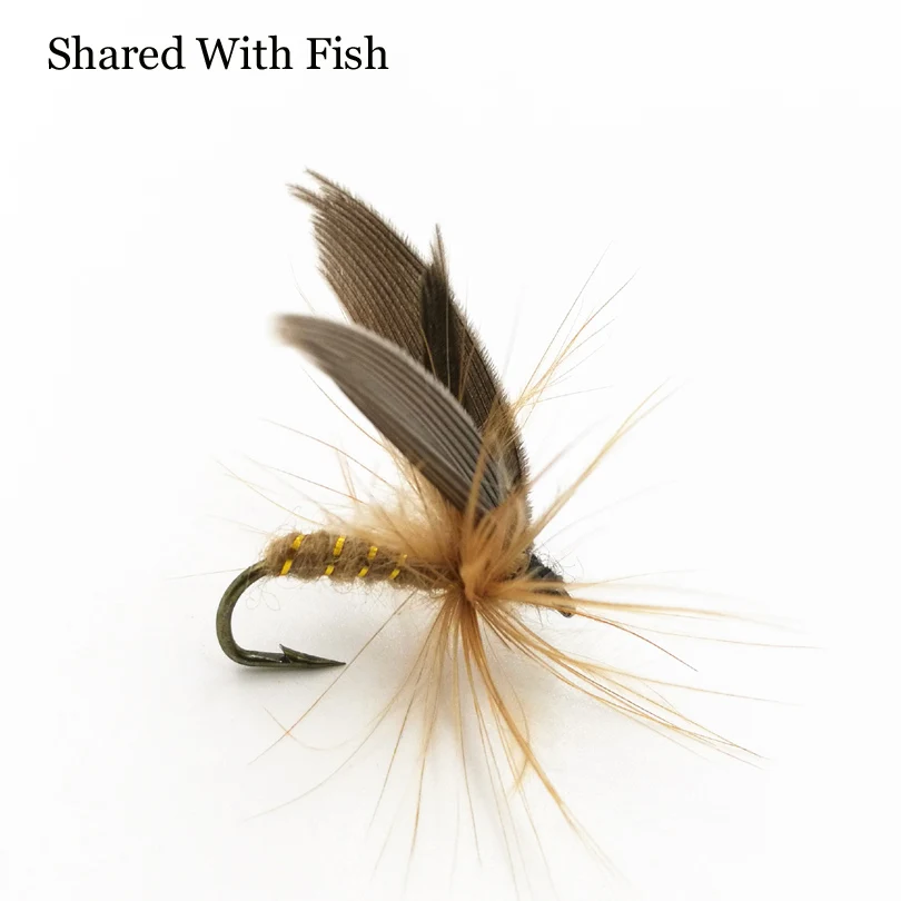 Condiviso Con Pesce 5 Pz/Lotto 10 # Golden Costola Del Corpo Carteggiatura Marrone Mayfly Per La Pesca Alla Trota