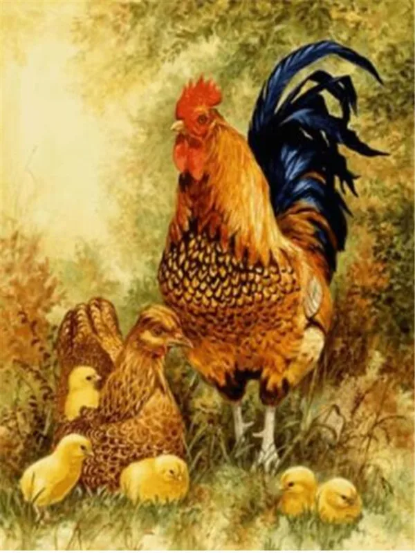 курица с цыплятами. курица с цыплятами. петух с цыплятами. курица наседка квочка. красивые куры с цыплятами.