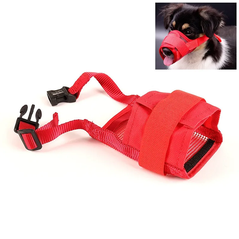 Dog Muzzle (6)
