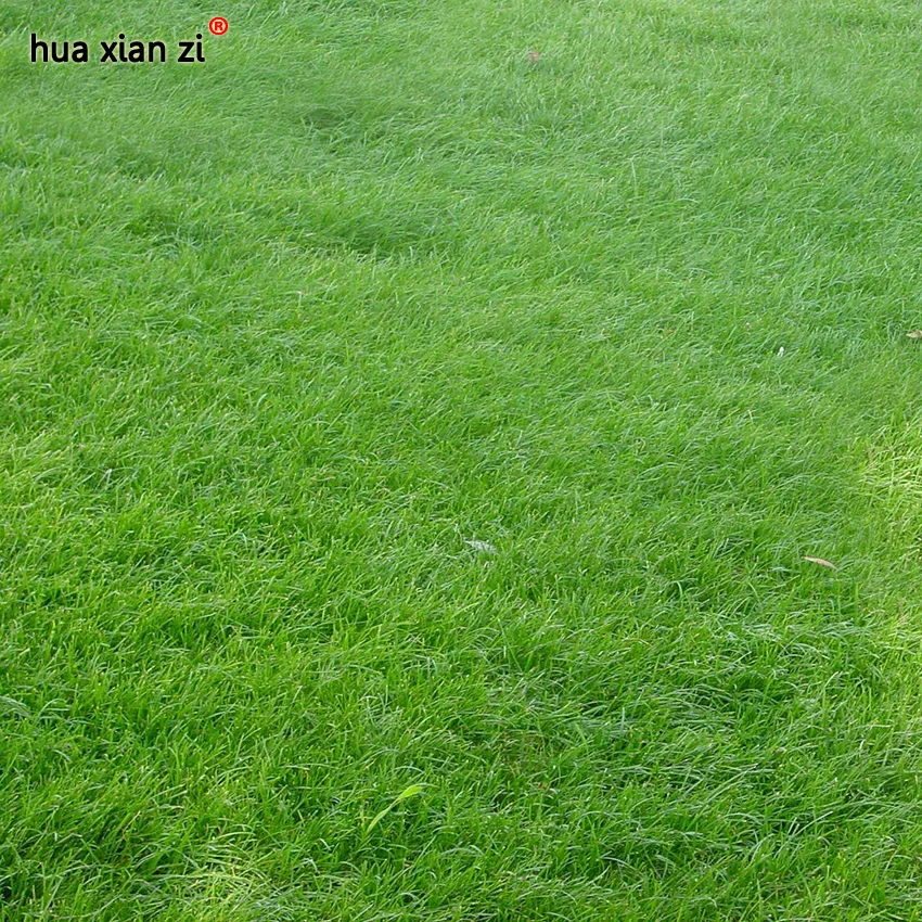 Campo de futebol de grama vender por atacado - Campo de