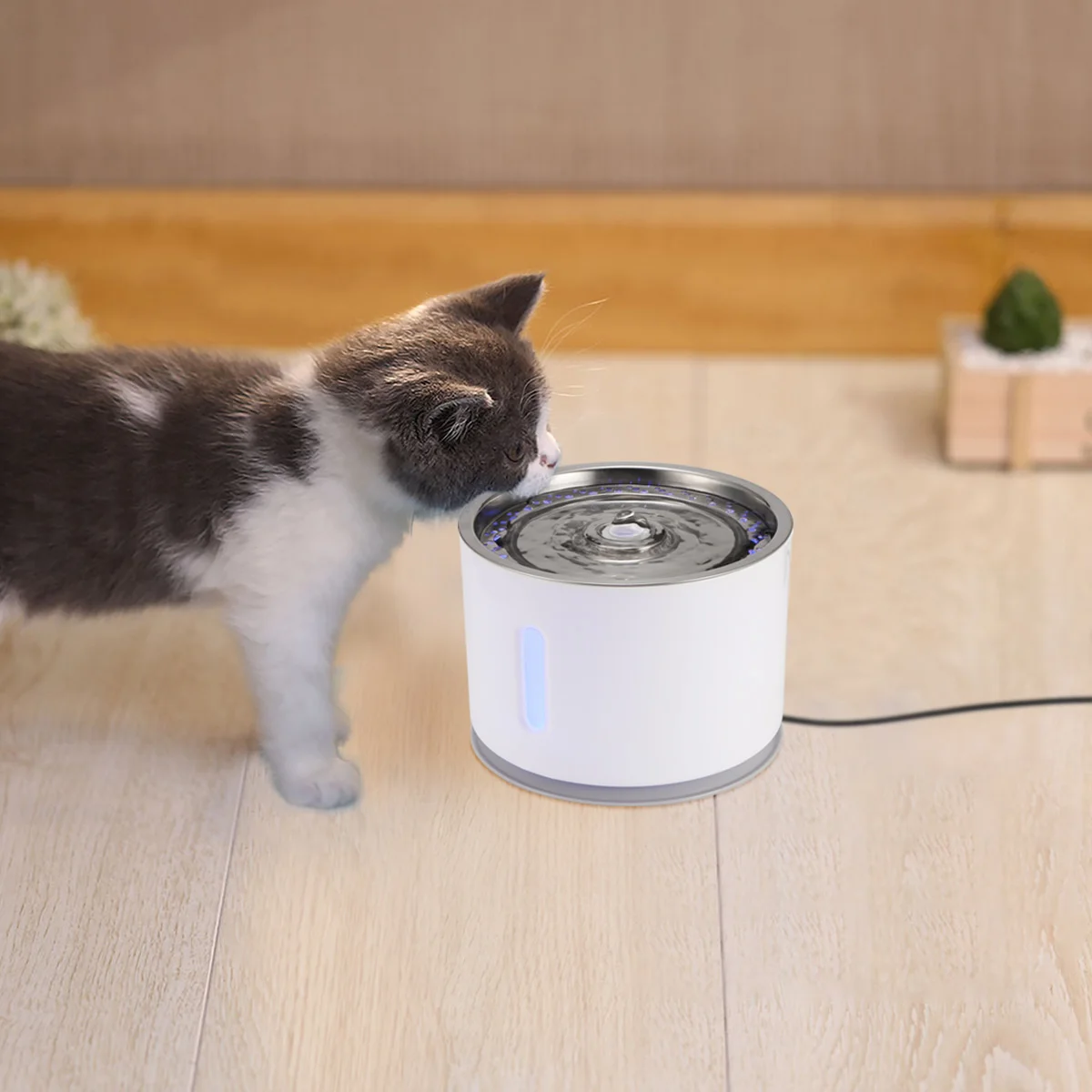 Светодиодный фонтан для кошек, автоматический Электрический фонтан 2.4L для собак, кошек, домашних питомцев, чаша для питья домашних животных, фонтан с цветами