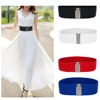 1PC Summer Women Stretch Elastic Wide Corset Waist Belts Silver Metal Buckle Fabric Strap Female Apparel Accessories Dress Waist ► Photo 1/6