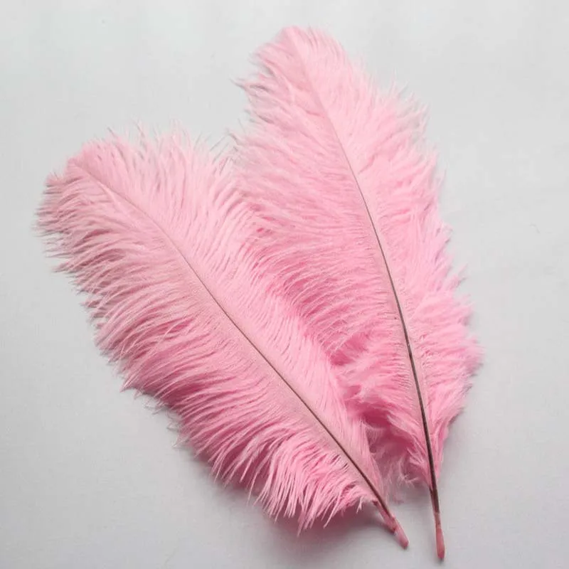 wholesale! High quality 100pcs 6 8 inches / 15 20cm pink natural