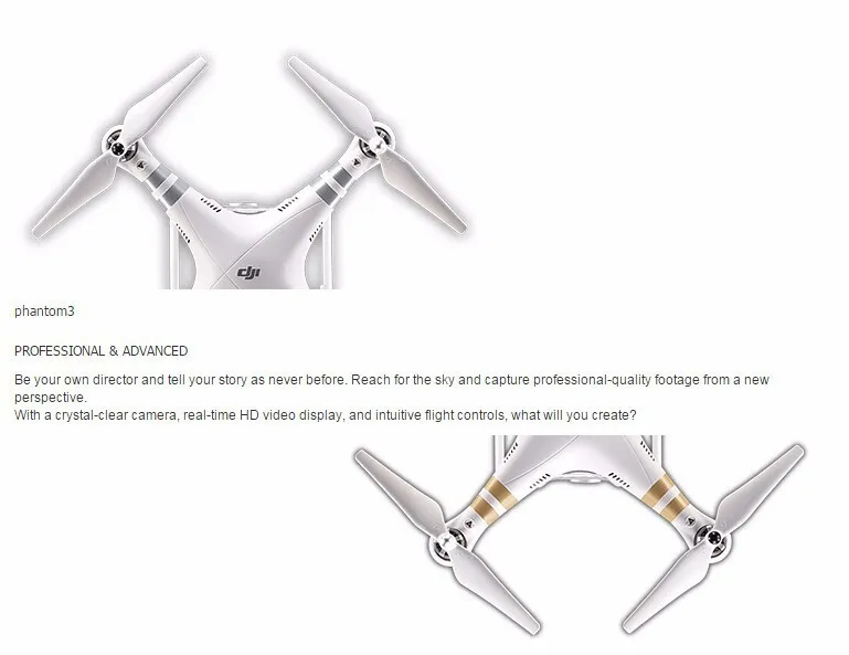 In Stock Ready To Fly DJI Phantom 3 Professional Version With 4K Camera RC Quadcopter With Special Gift EMS