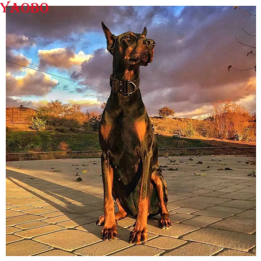 5D Вышивка крестиком Doberman pinscher картина из квадратных круглых страз мозаика сделай