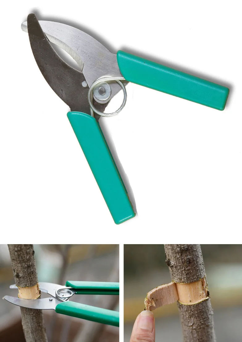 Кольцо лающий резак ножничный жирочный нож садовое фруктовое дерево Виноград Вишня секатор инструмент кустарник сад