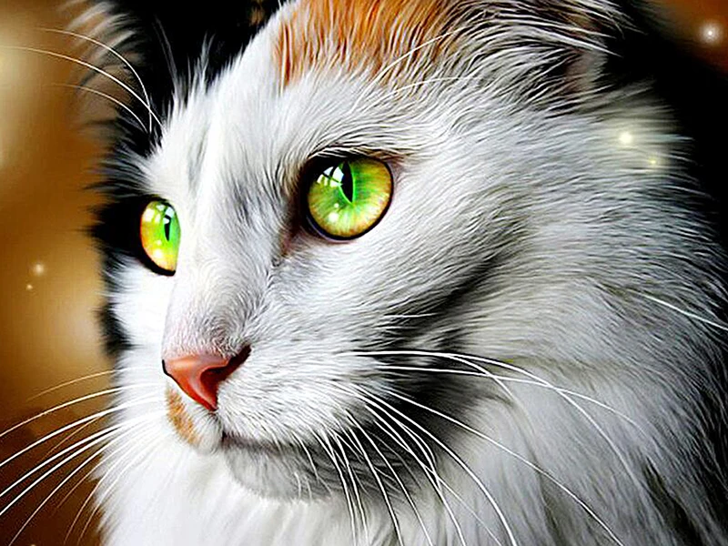 

Diamond Embroidery Cat Head Animals Cross Stitch 5D Full Square Mosaic Diamond Painting Sale DIY Sticker Decor Paintings