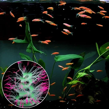 

Fish Tank Water Landscape Ornament Decoration Aquarium Artificial Sea Anemone Silicone Coral Plant Aquarium Accessories 6Colors