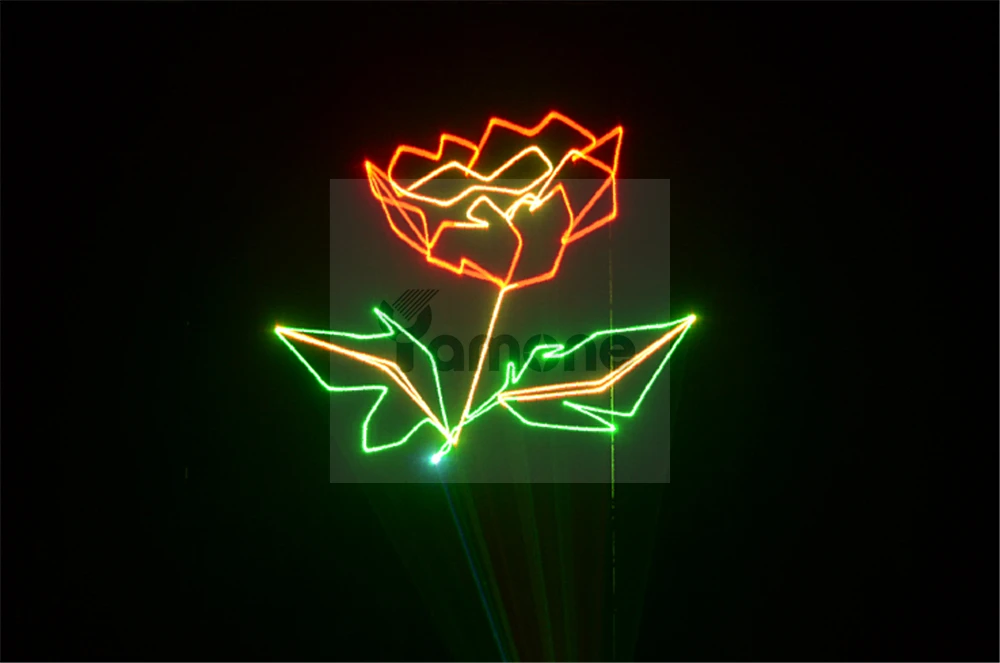 2W Laser 08